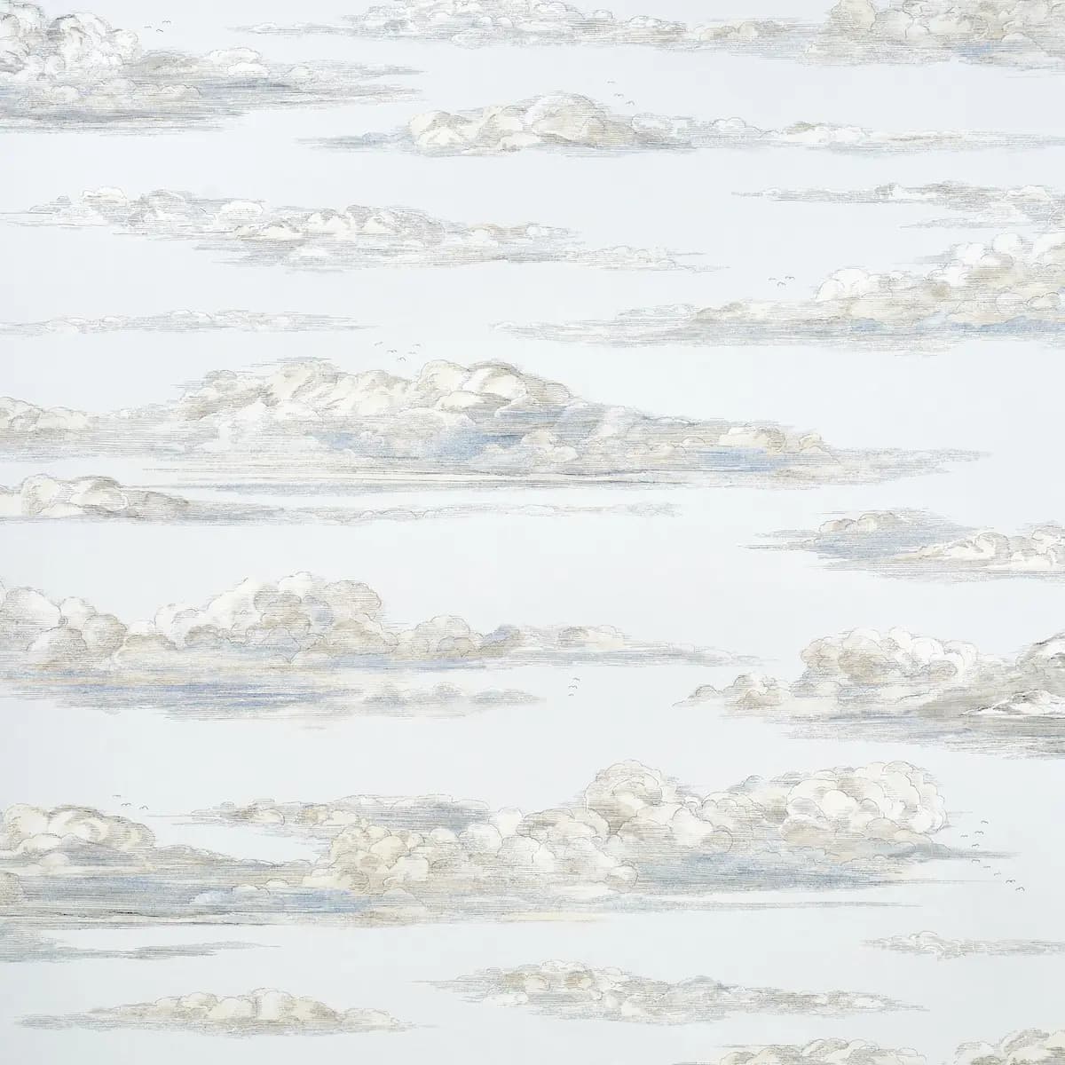 Mr. Darcy's Clouds_ SKY