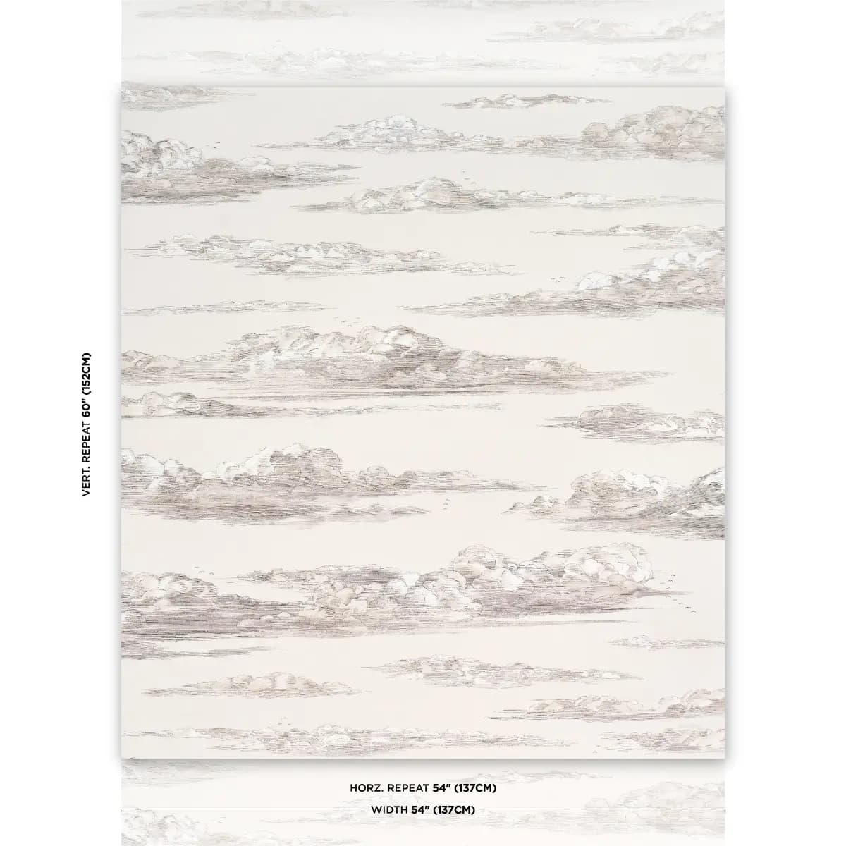 Mr. Darcy's Clouds_ GRISAILLE