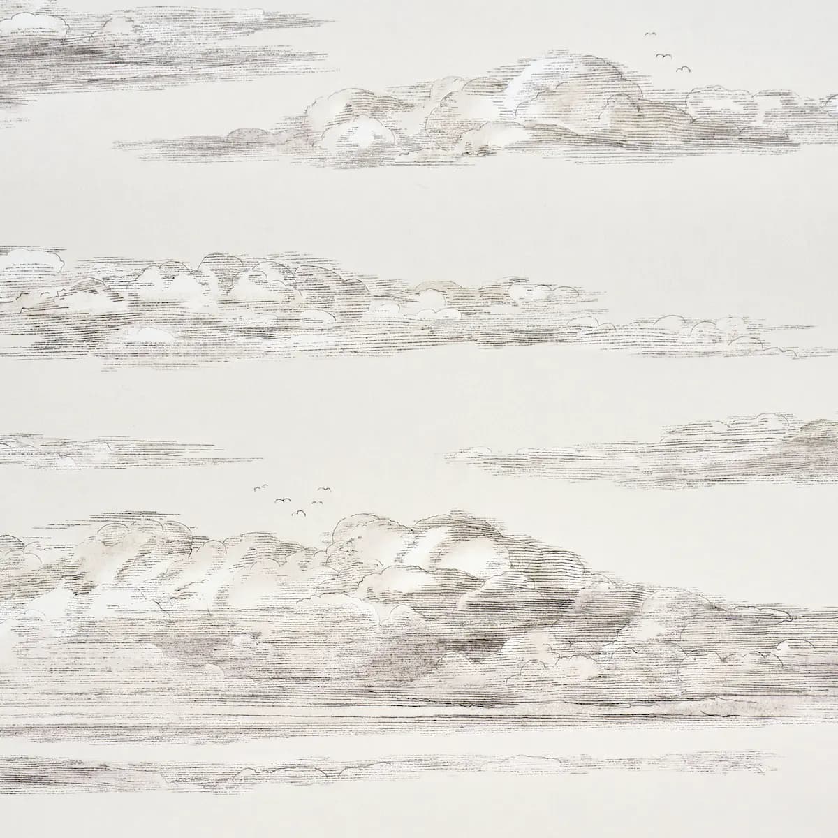 Mr. Darcy's Clouds_ GRISAILLE
