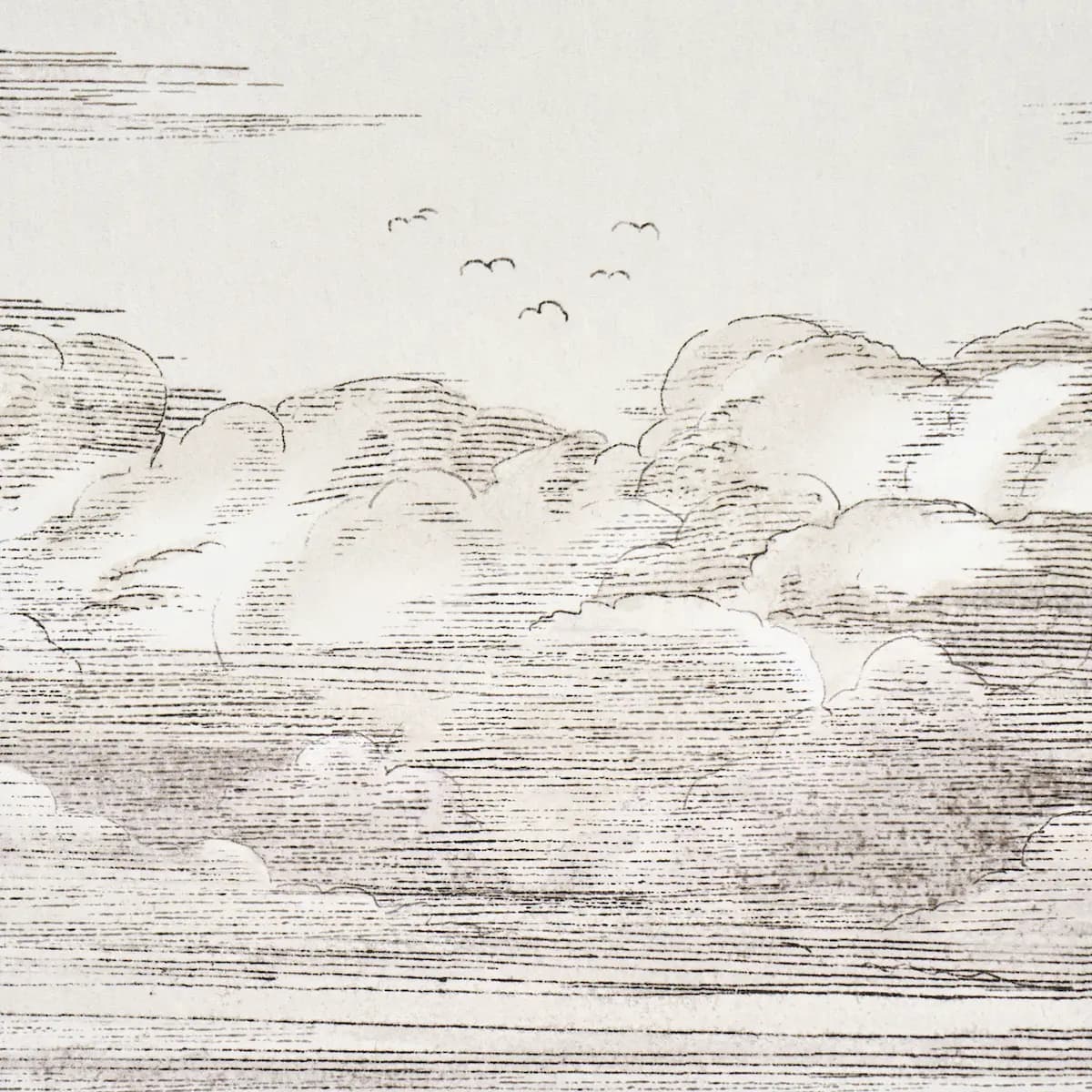 Mr. Darcy's Clouds_ GRISAILLE