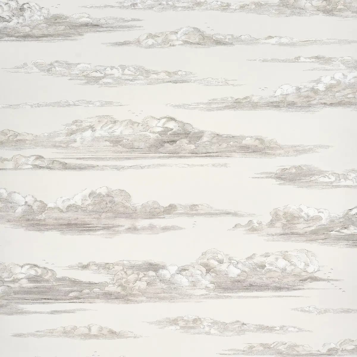 Mr. Darcy's Clouds_ GRISAILLE