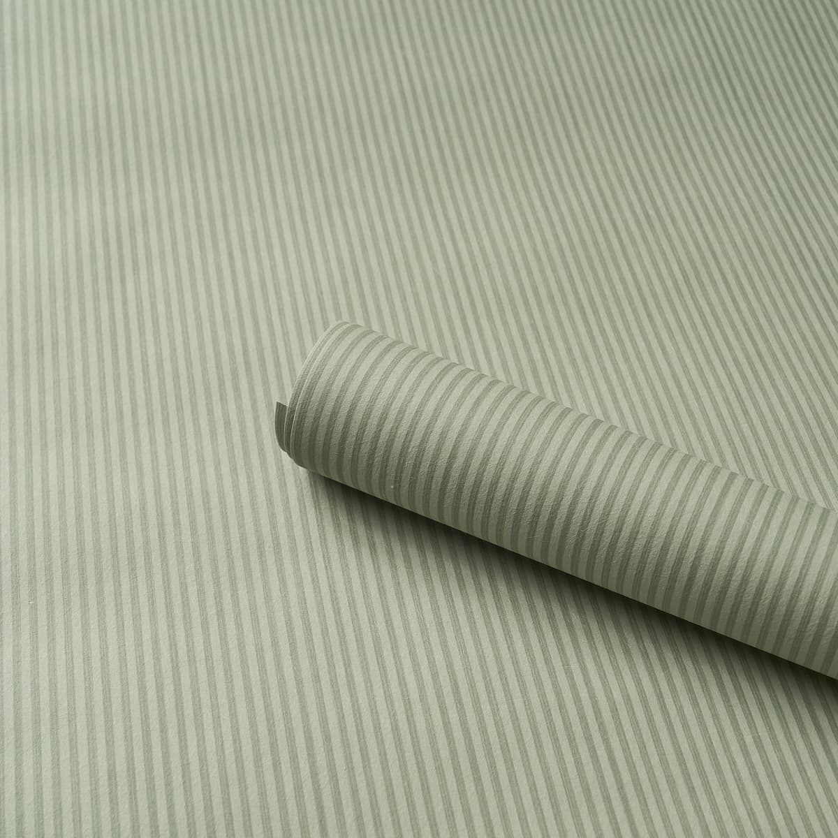 Edwin Stripe Narrow_ SAGE