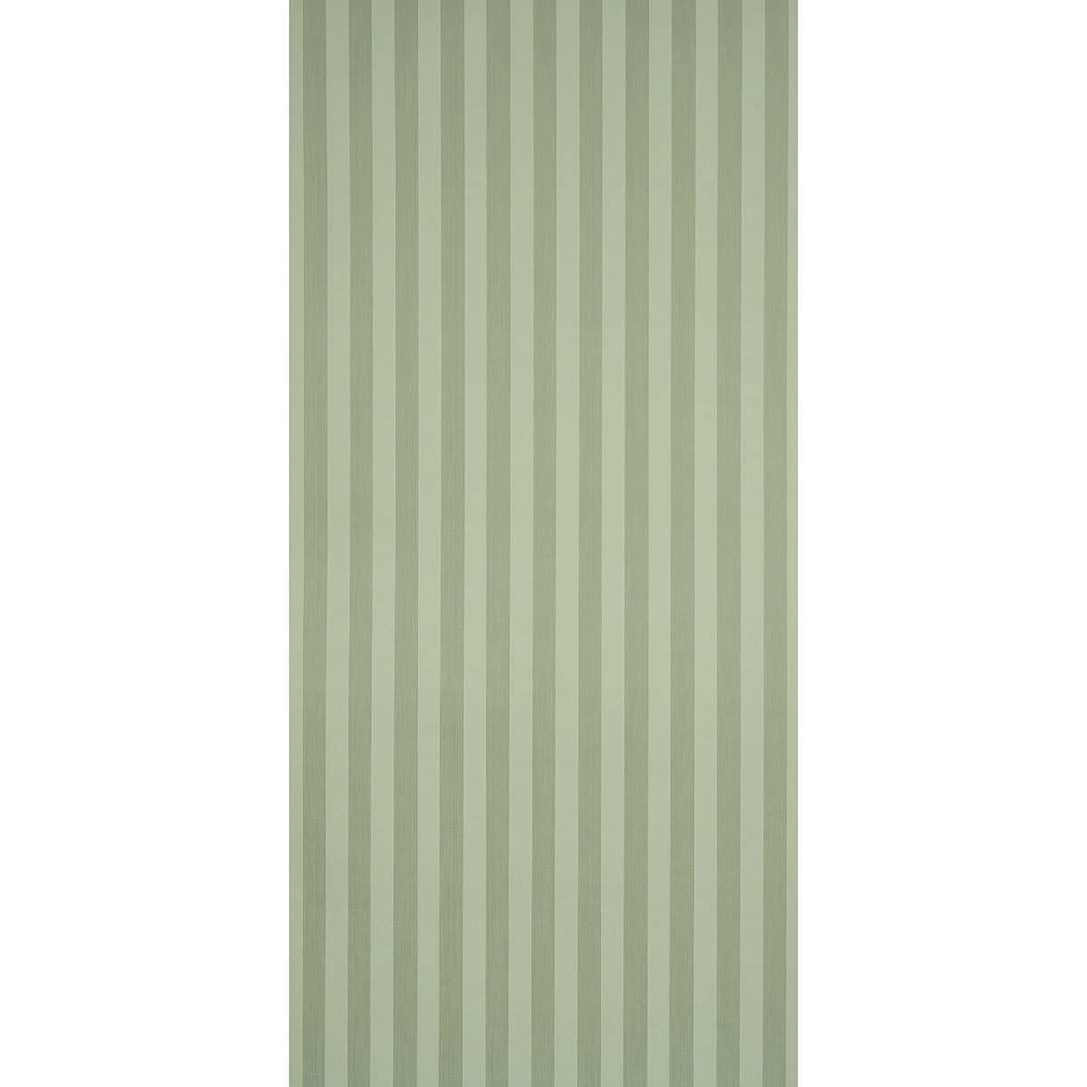 Edwin Stripe Medium_ SAGE
