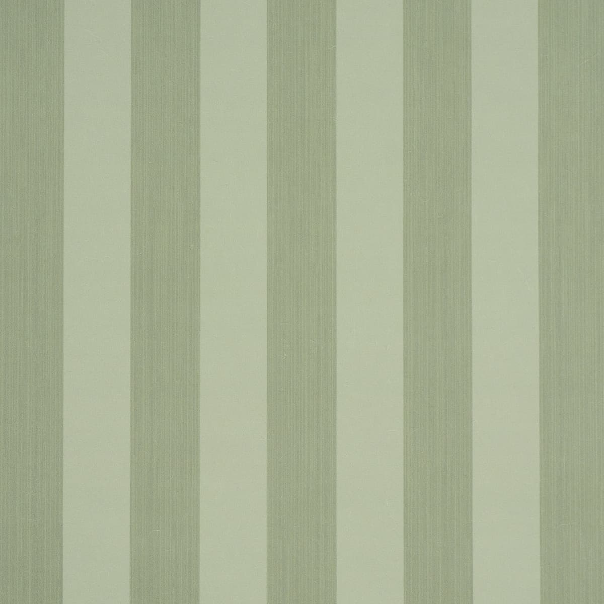 Edwin Stripe Medium_ SAGE