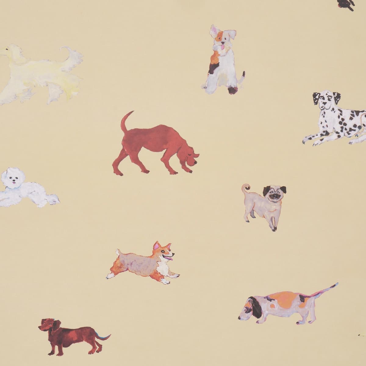 Dogs_ BUTTER