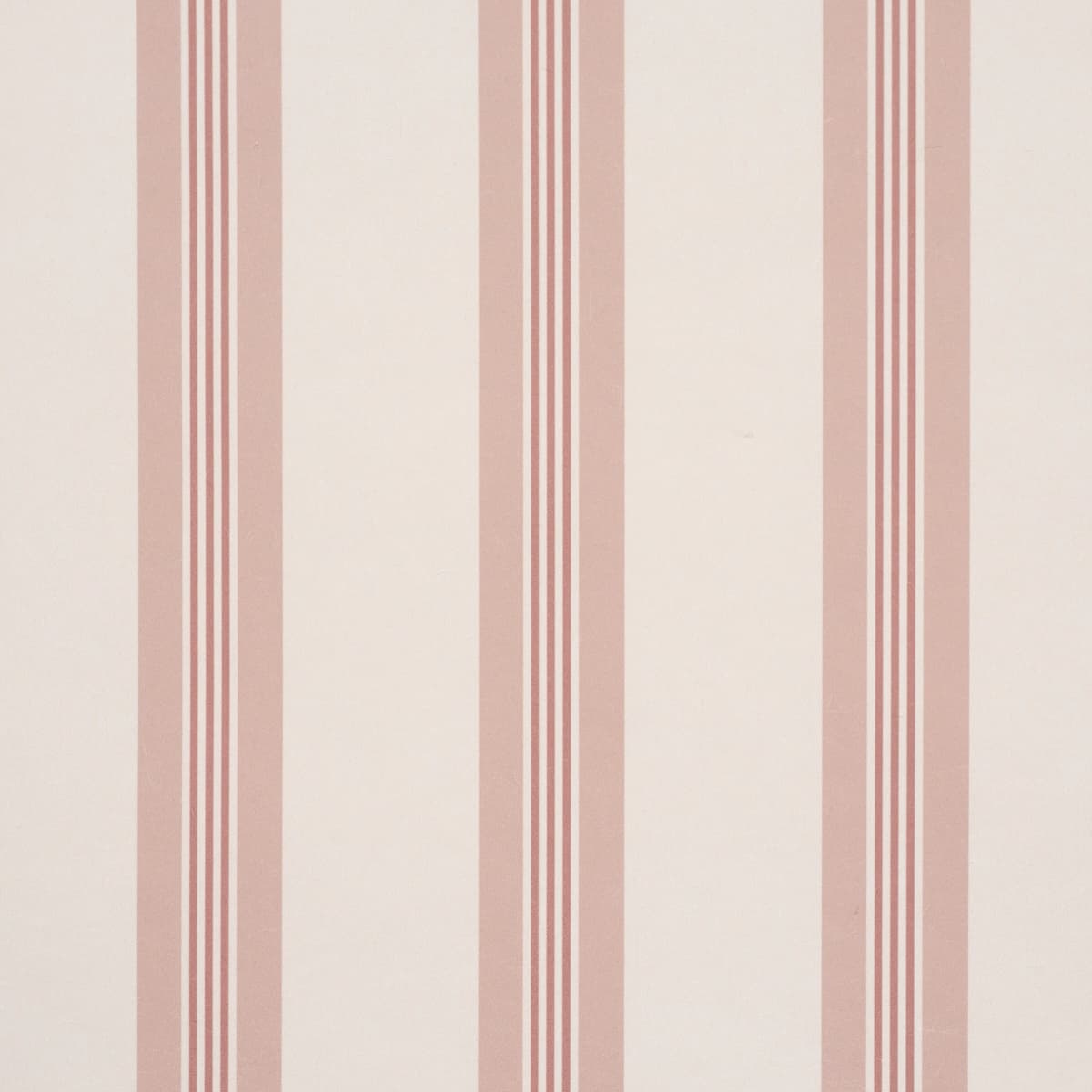 Chatham Stripe_ ROSE
