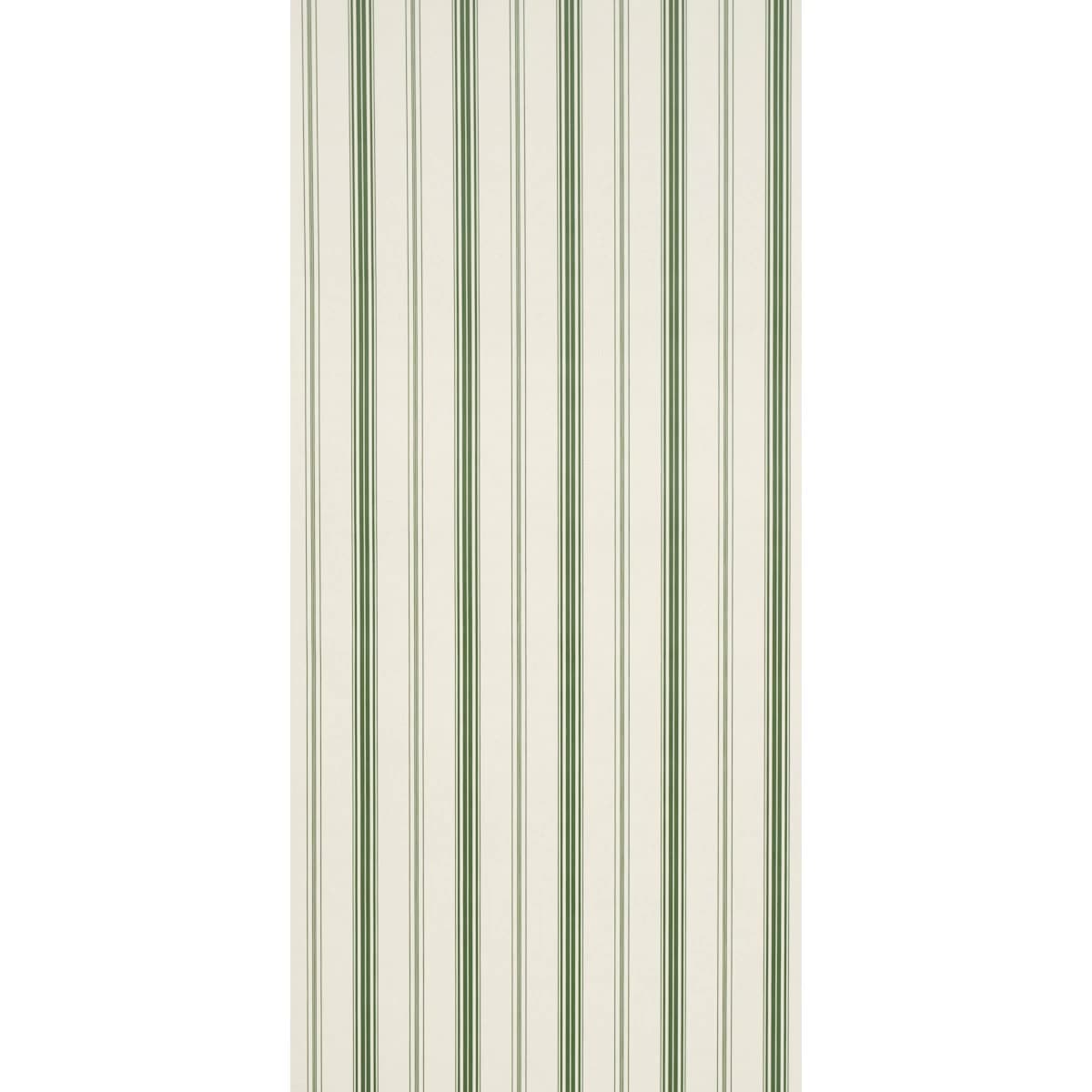 Coco Stripe_ GREEN