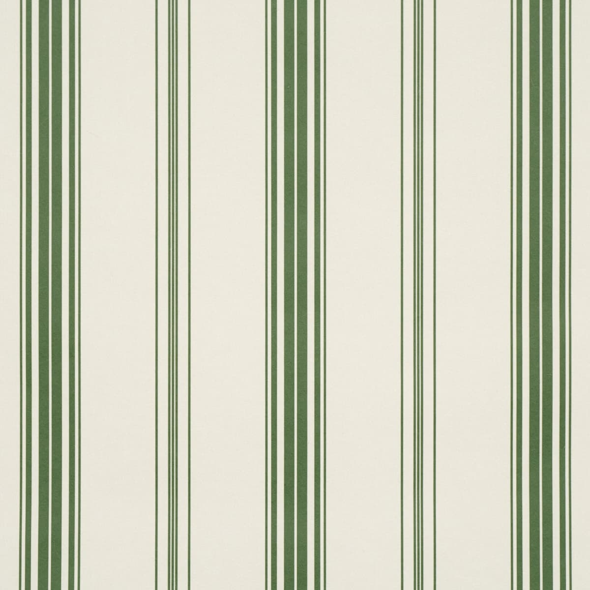 Coco Stripe_ GREEN