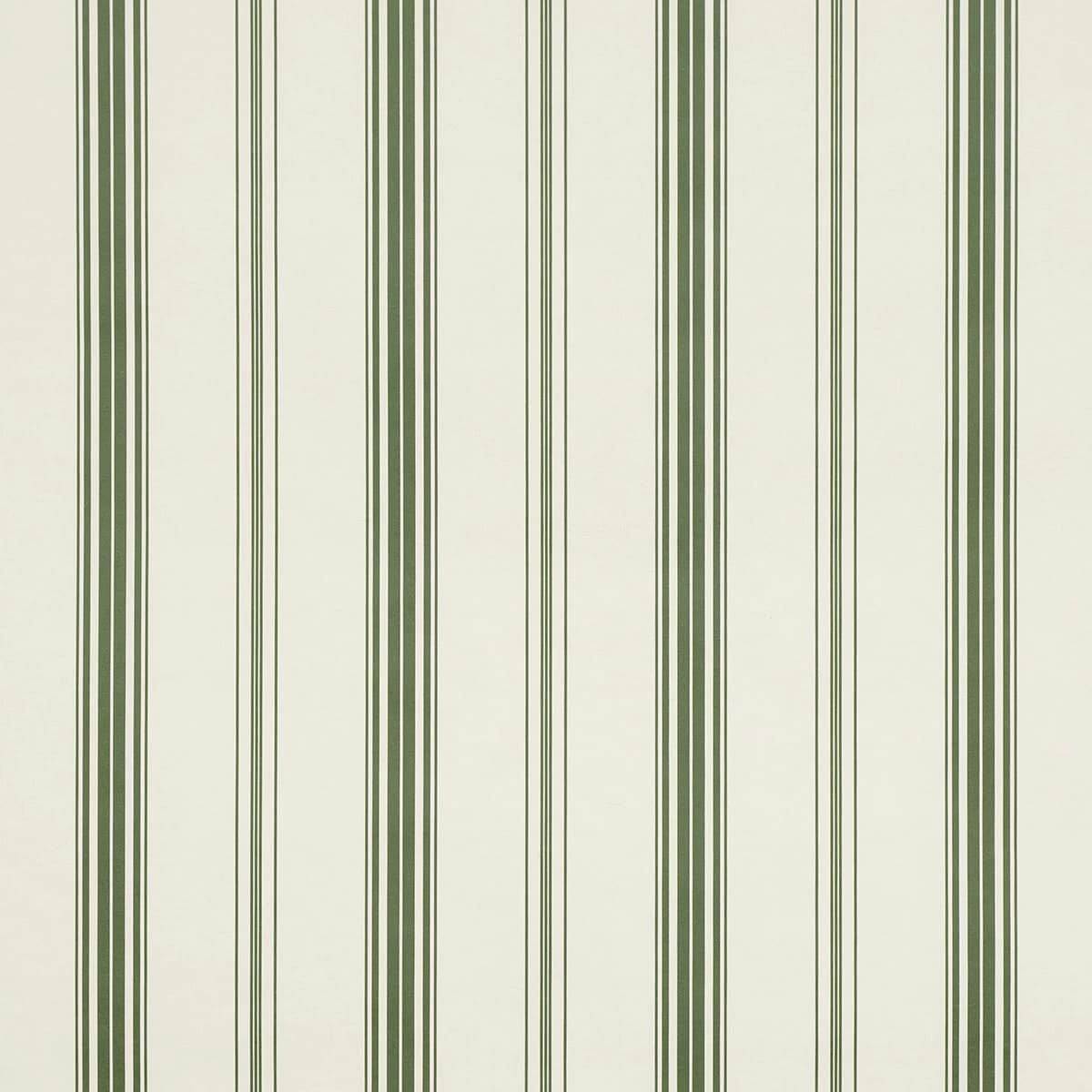Coco Stripe_ GREEN