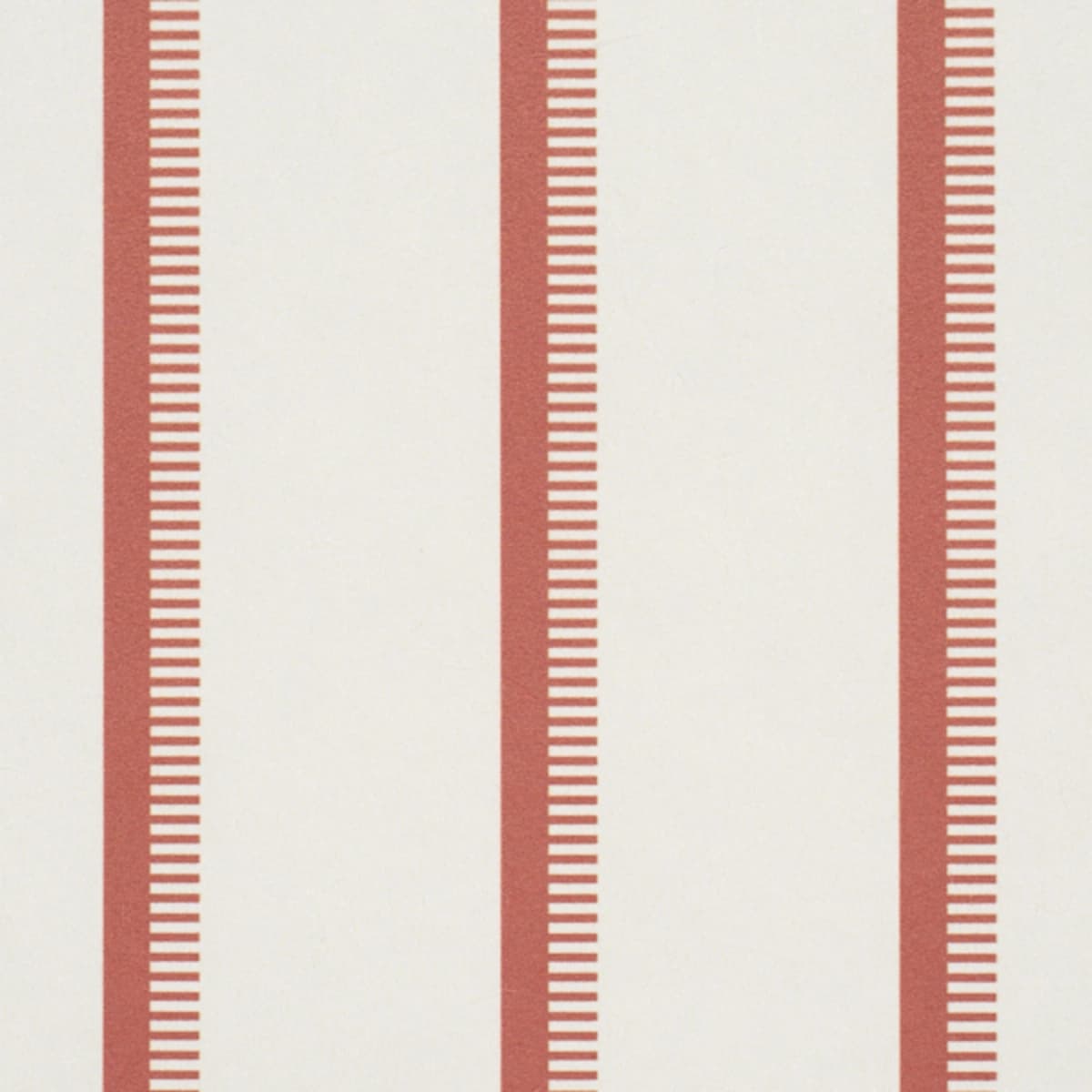 Tyla Stripe_ TERRACOTTA