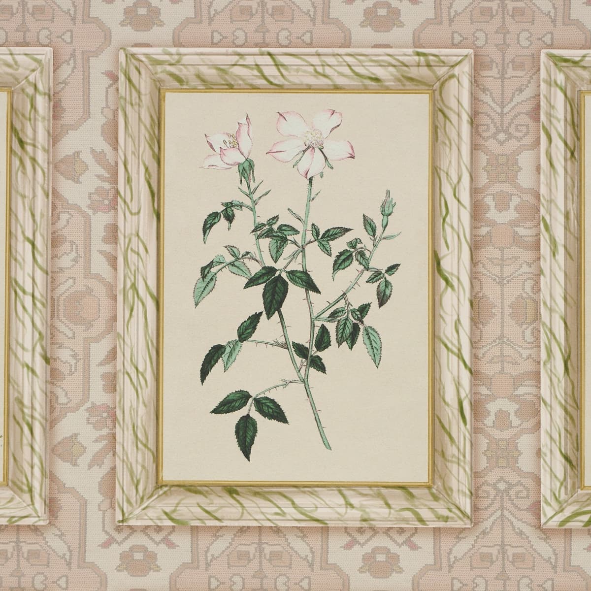Garden's Trust_ BLUSHED OYSTER
