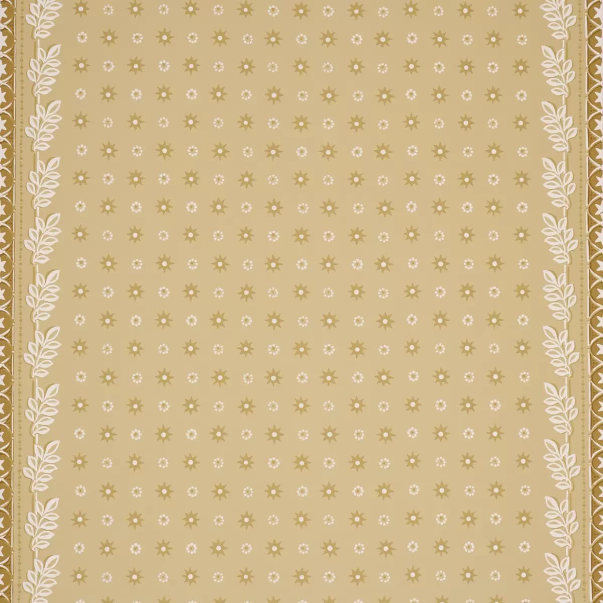 ASTOR_ YELLOW