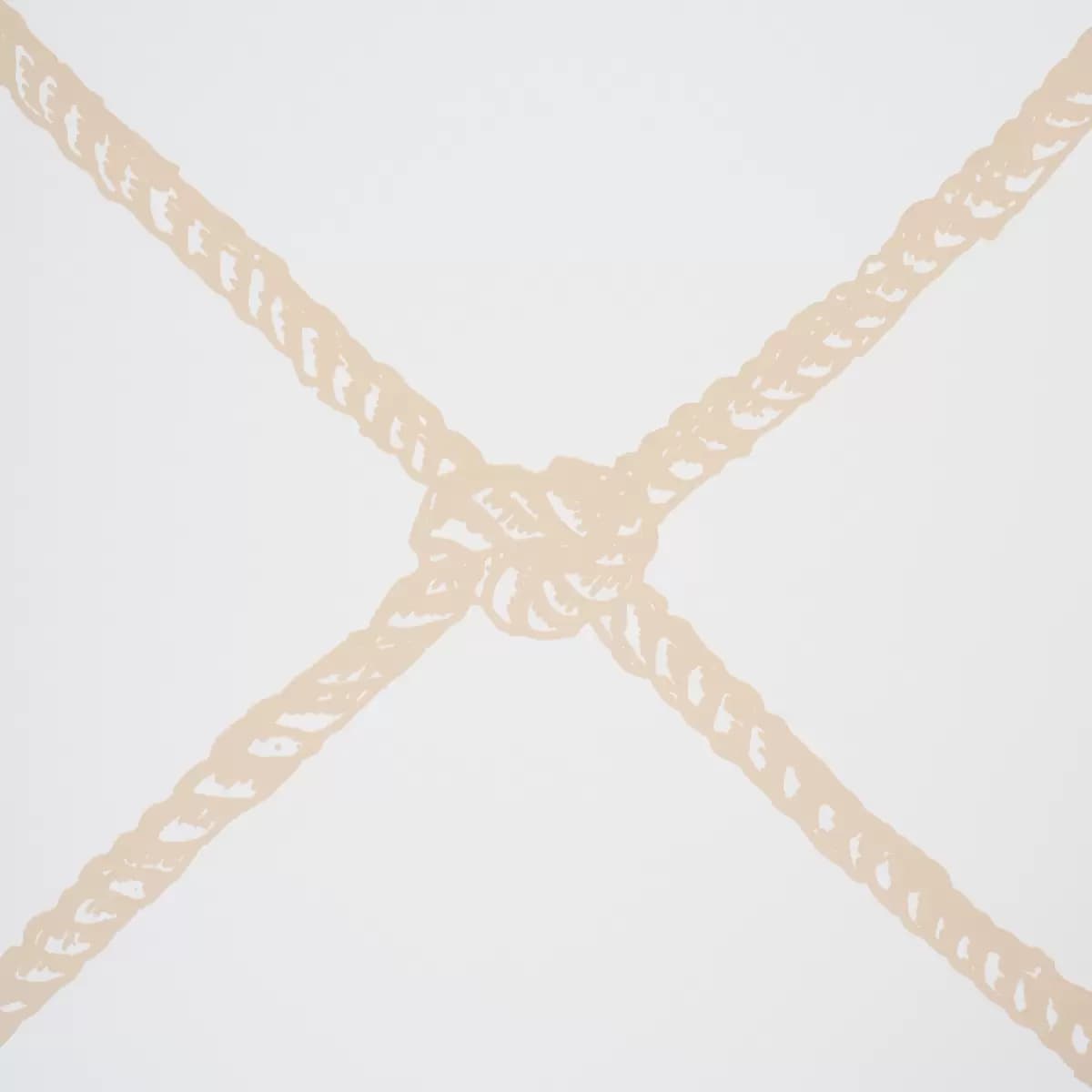 LARGE ROPE_ SAND