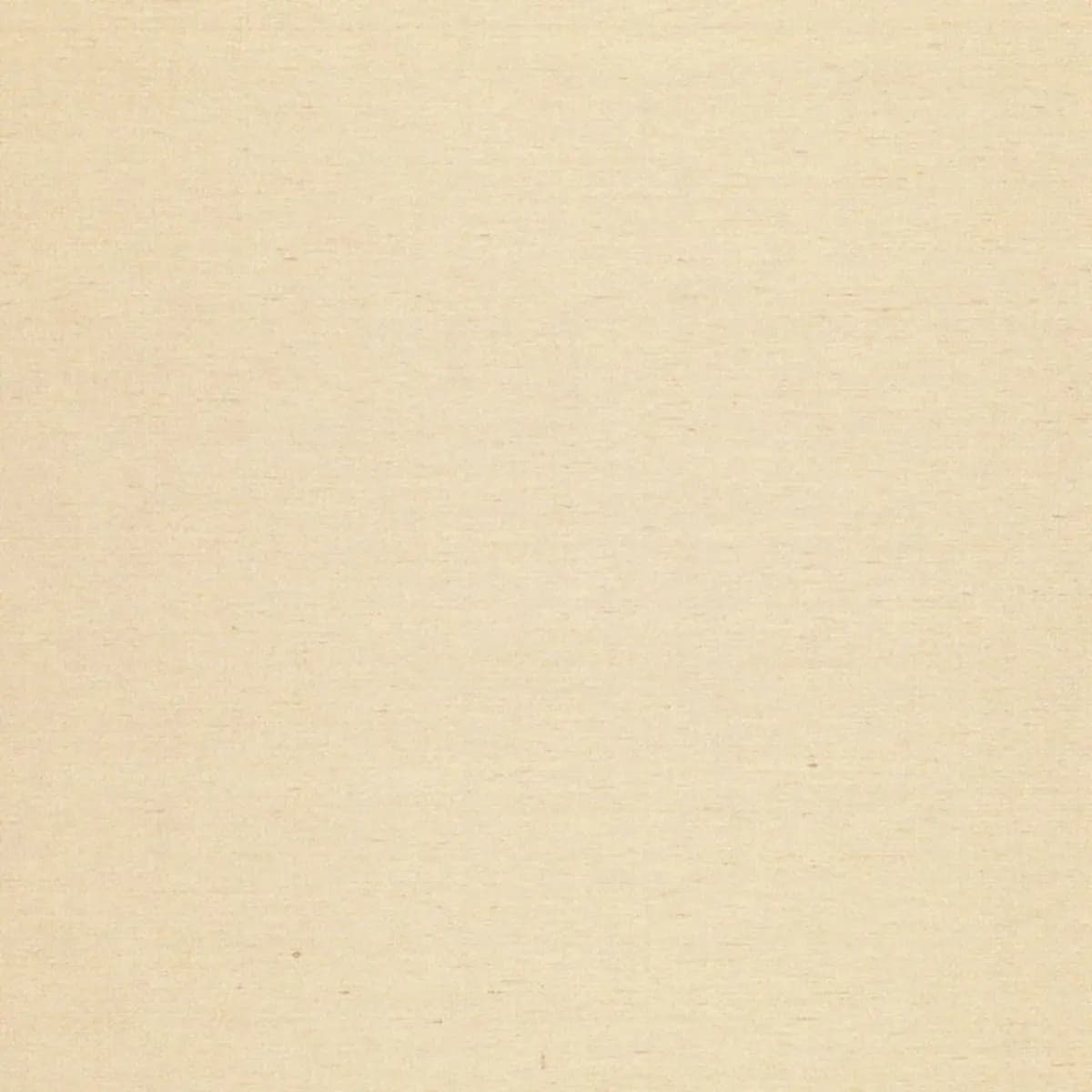 POIRET SATIN_ PLATINUM