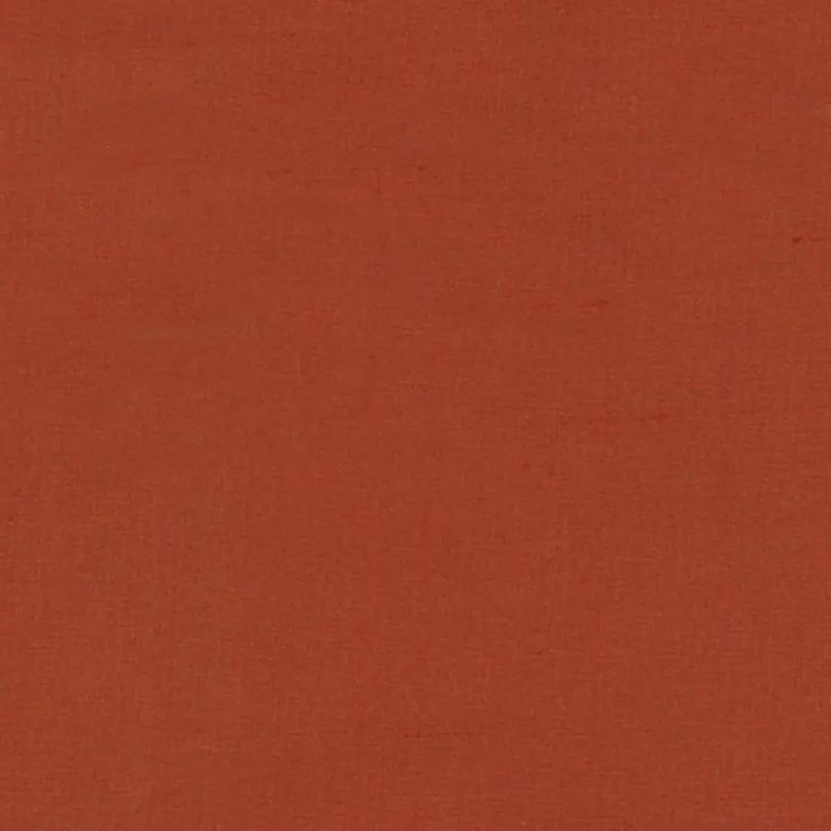 CARIBE_ CORAL