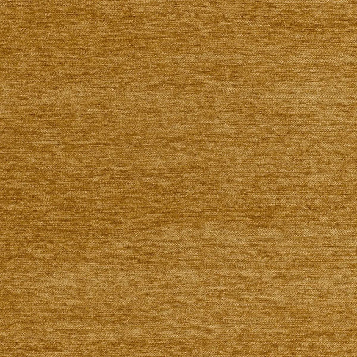 SICILY_ COIN