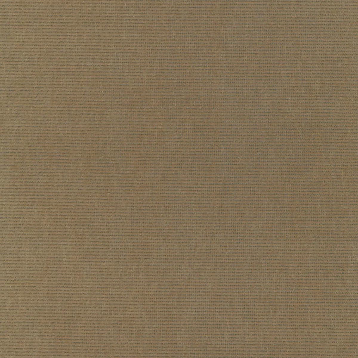 CHIAROSCURO VELVET_ MINK
