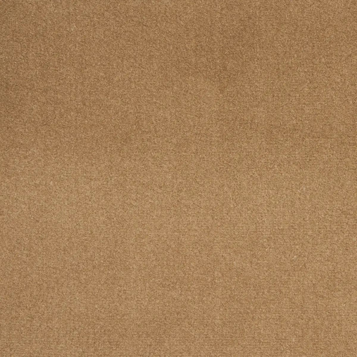 COTTON CLUB VELVET_ FAWN