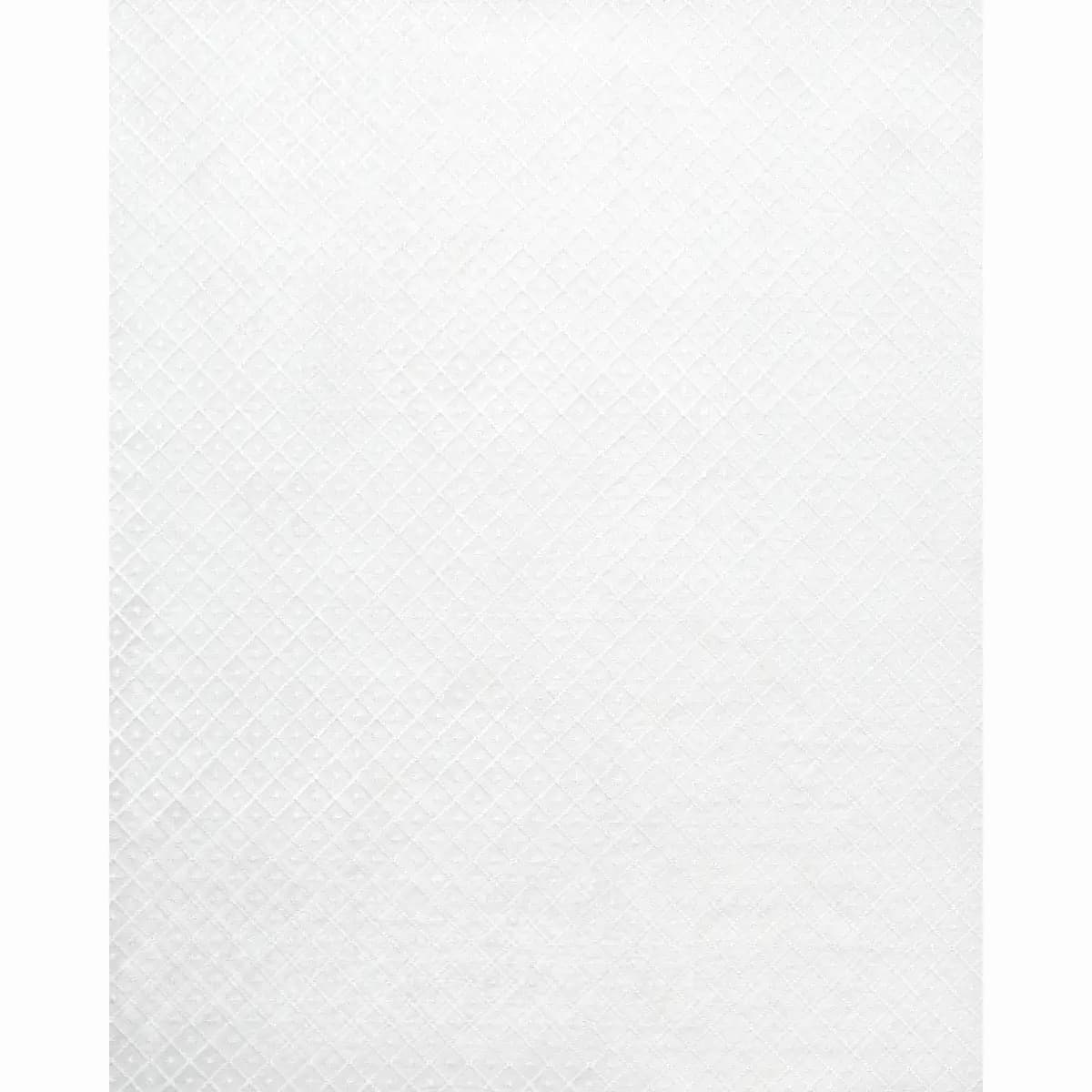 Isabella Sheer Embroidery_ IVORY