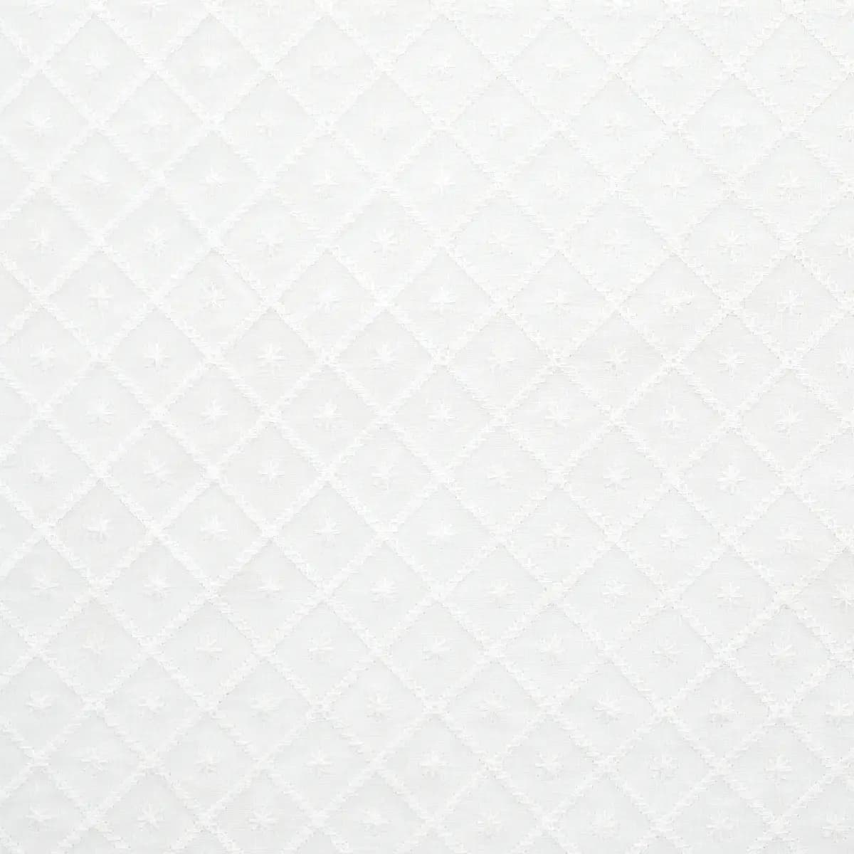 Isabella Sheer Embroidery_ IVORY