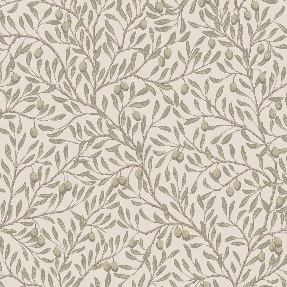 OLIVTRÄD_ LEAF AND IVORY