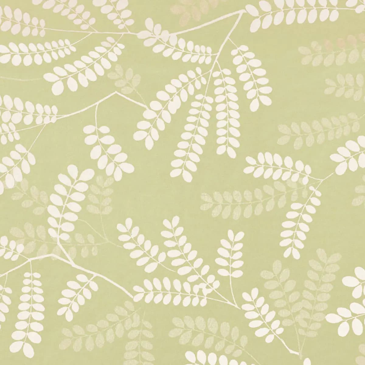 LOCUST LEAVES_ FERN