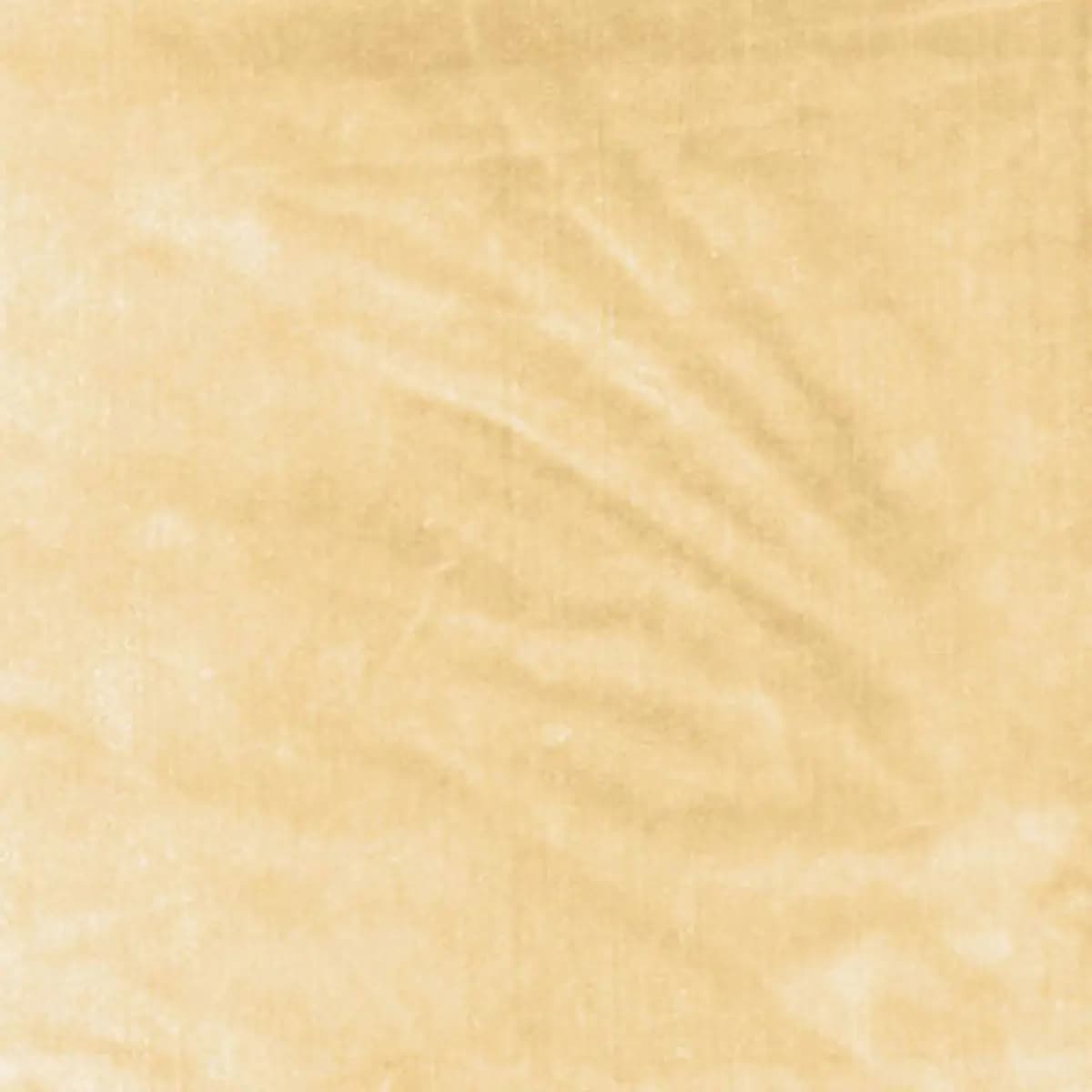 VENETIAN SILK VELVET_ CHAMPAGNE