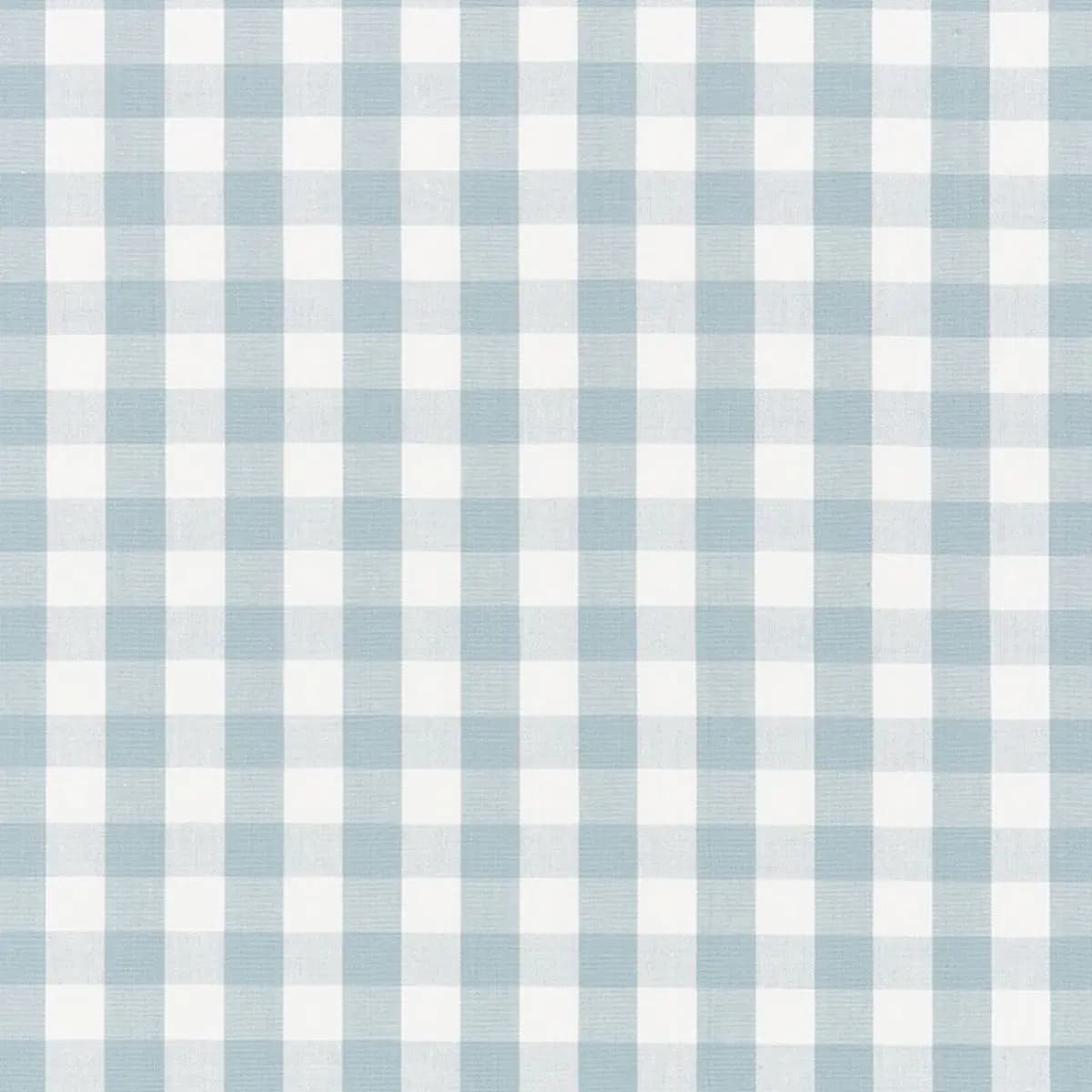 ELTON COTTON CHECK_ SKY