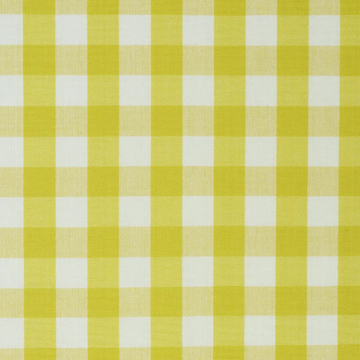 ELTON COTTON CHECK_ YELLOW