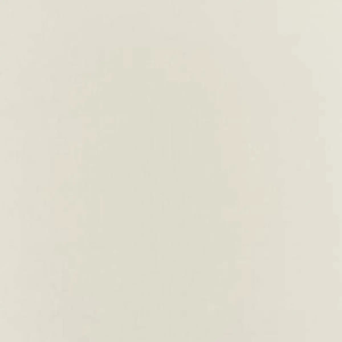 BOTTICELLI SILK TAFFETA_ BONE