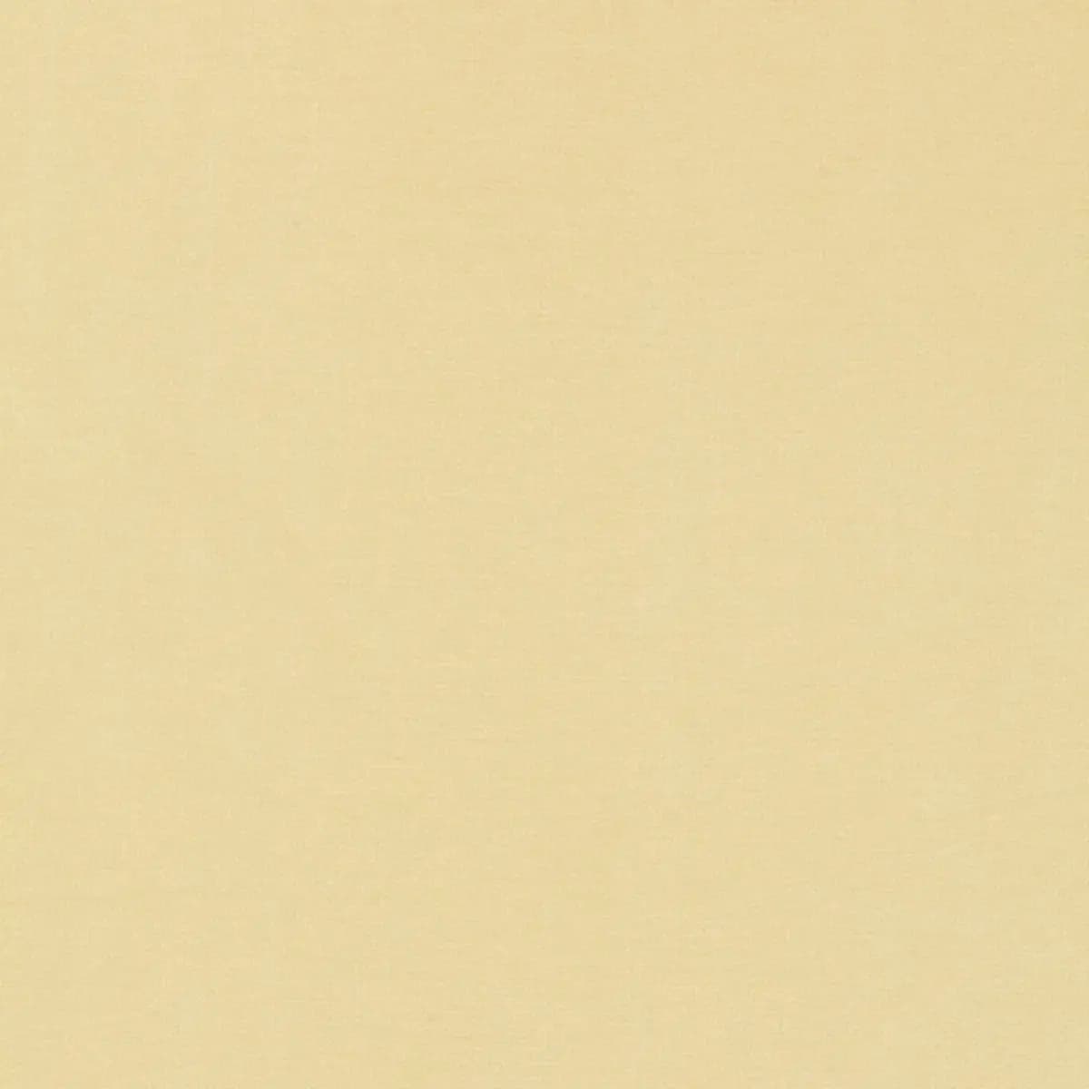 TIEPOLO SHANTUNG WEAVE_ IVORY