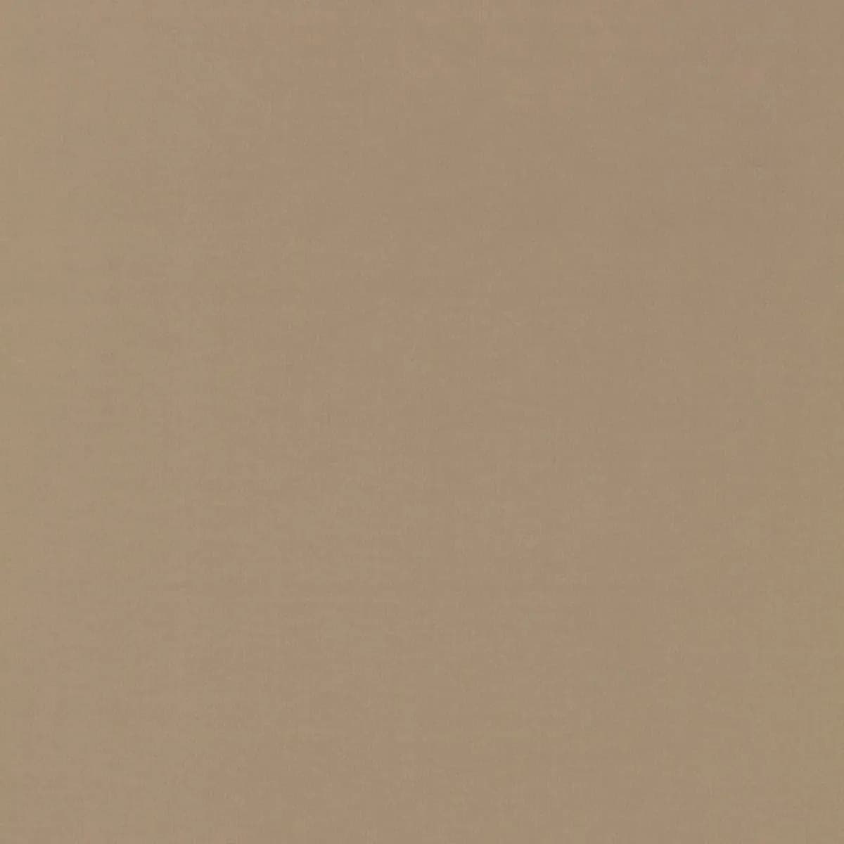 MASACCIO TAFFETA_ FAWN