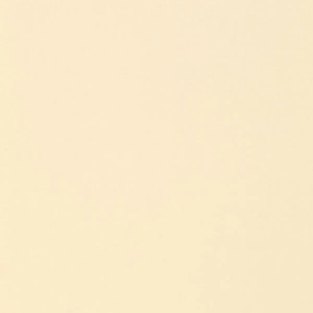 ISOLDE COTTON WEAVE_ CHAMOIS