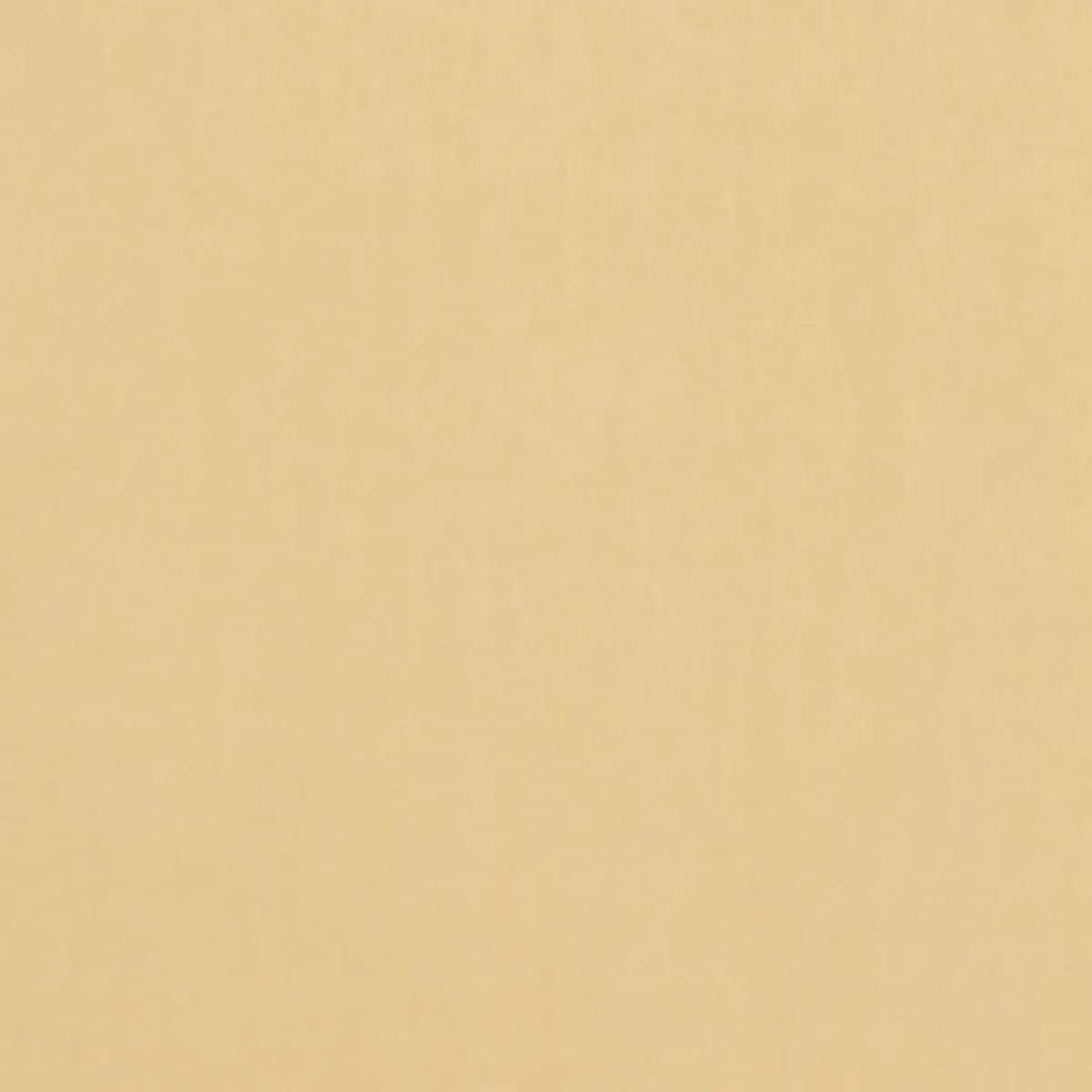 TRISTAN COTTON WEAVE_ CHAMOIS