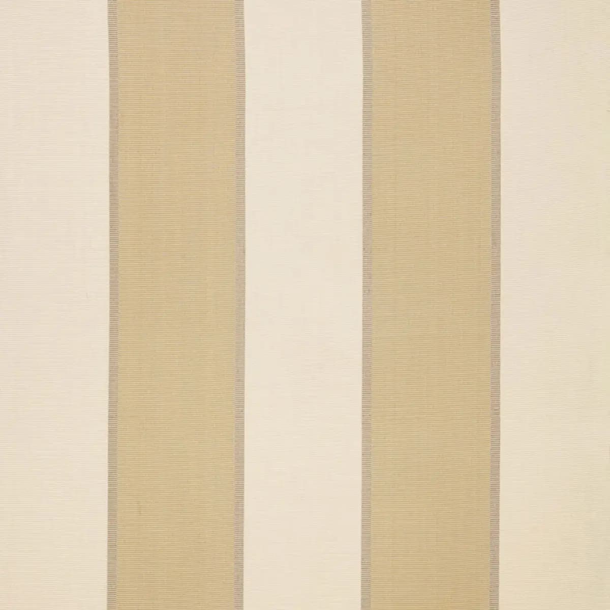 MONTEBELLO STRIPE_ CHAMPAGNE