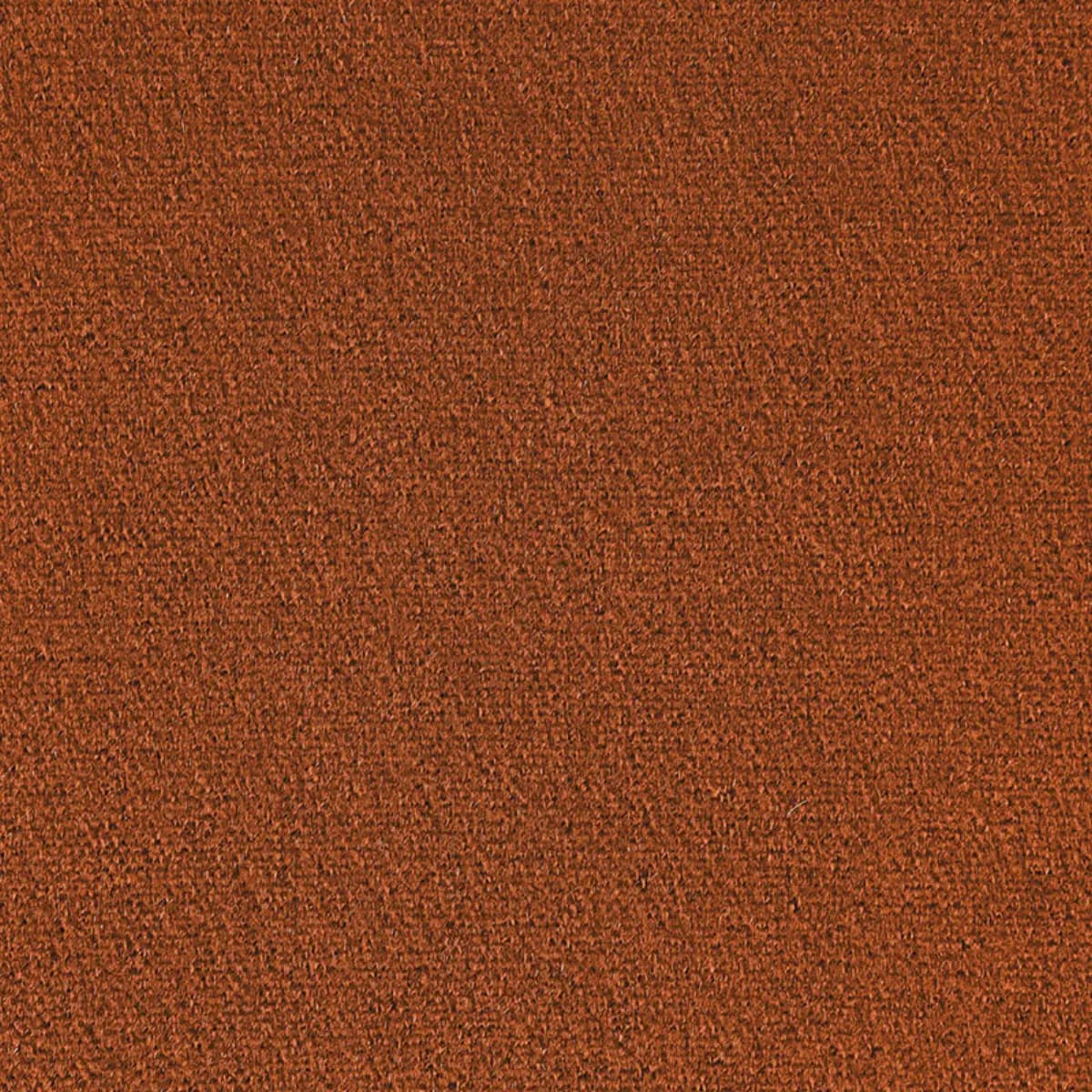 SAN CARLO MOHAIR VELVET_ COGNAC