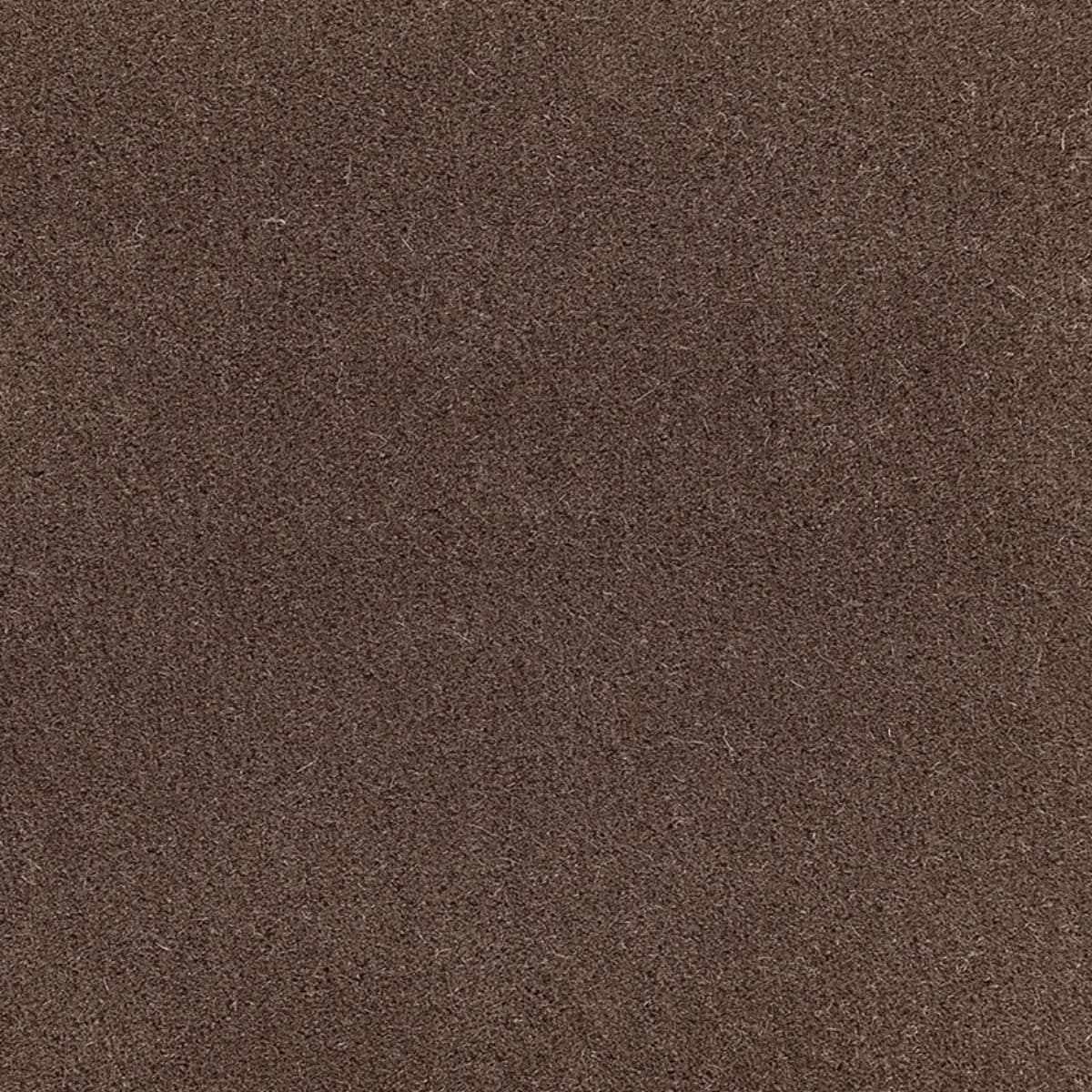 SAN CARLO MOHAIR VELVET_ MINK