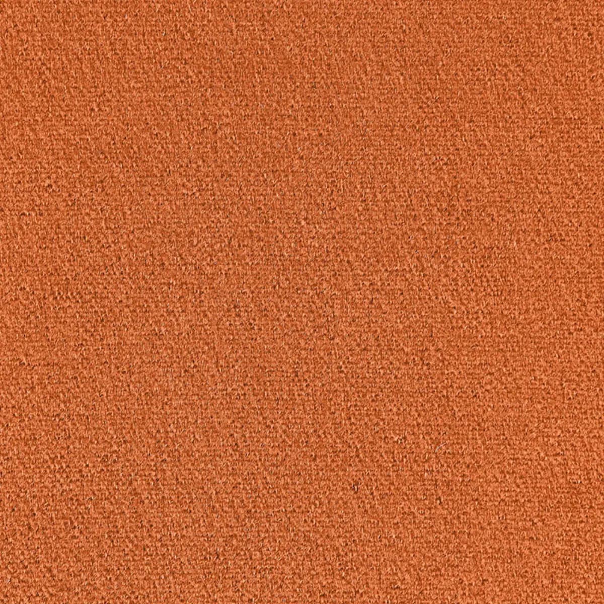 PALERMO MOHAIR VELVET_ BUTTERSCOTCH