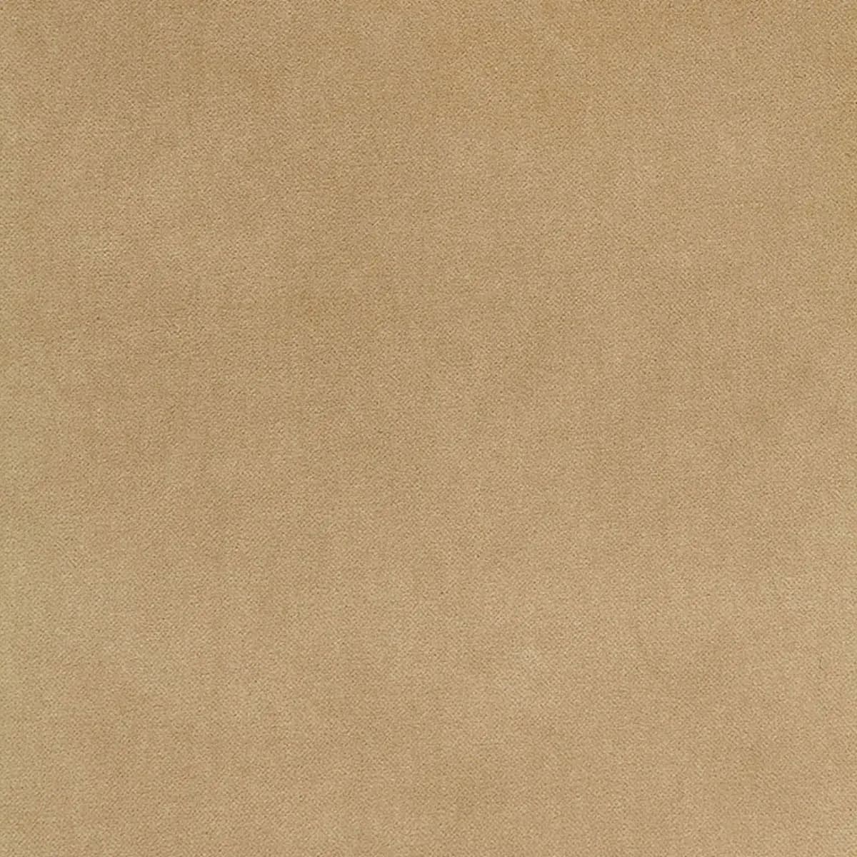 BAYEUX VELVET_ PUTTY