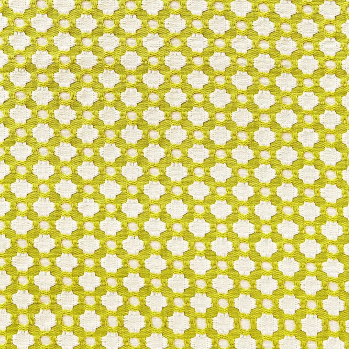 Betwixt_ CHARTREUSE / IVORY