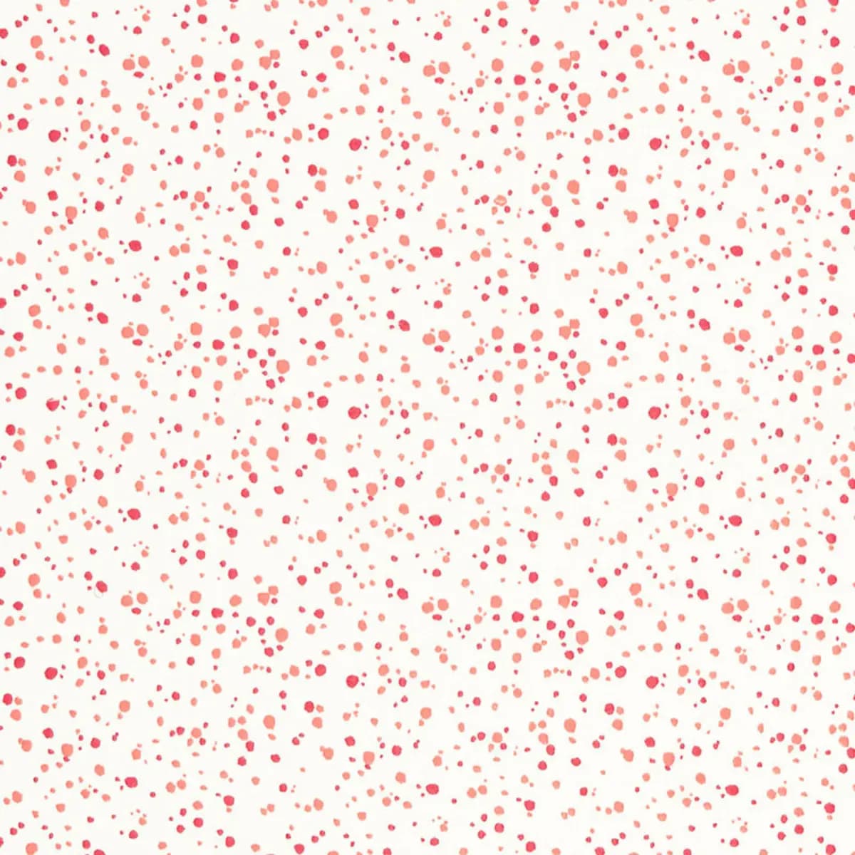 Skittles_ PUNCH / CORAL