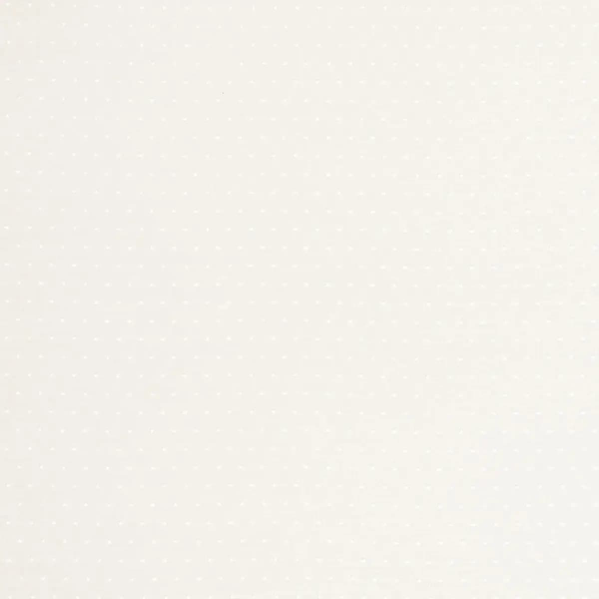 PIN DOT SHEER_ IVORY
