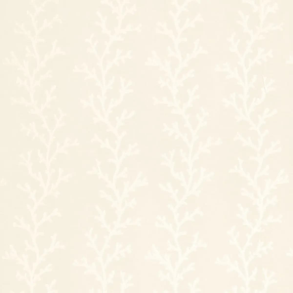 CORAL SHEER_ POLAR WHITE / ECRU