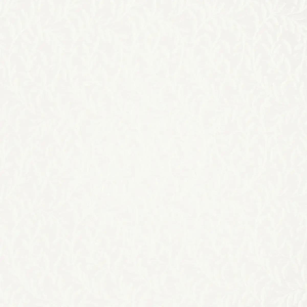 FERNWOOD SHEER_ NATUREL