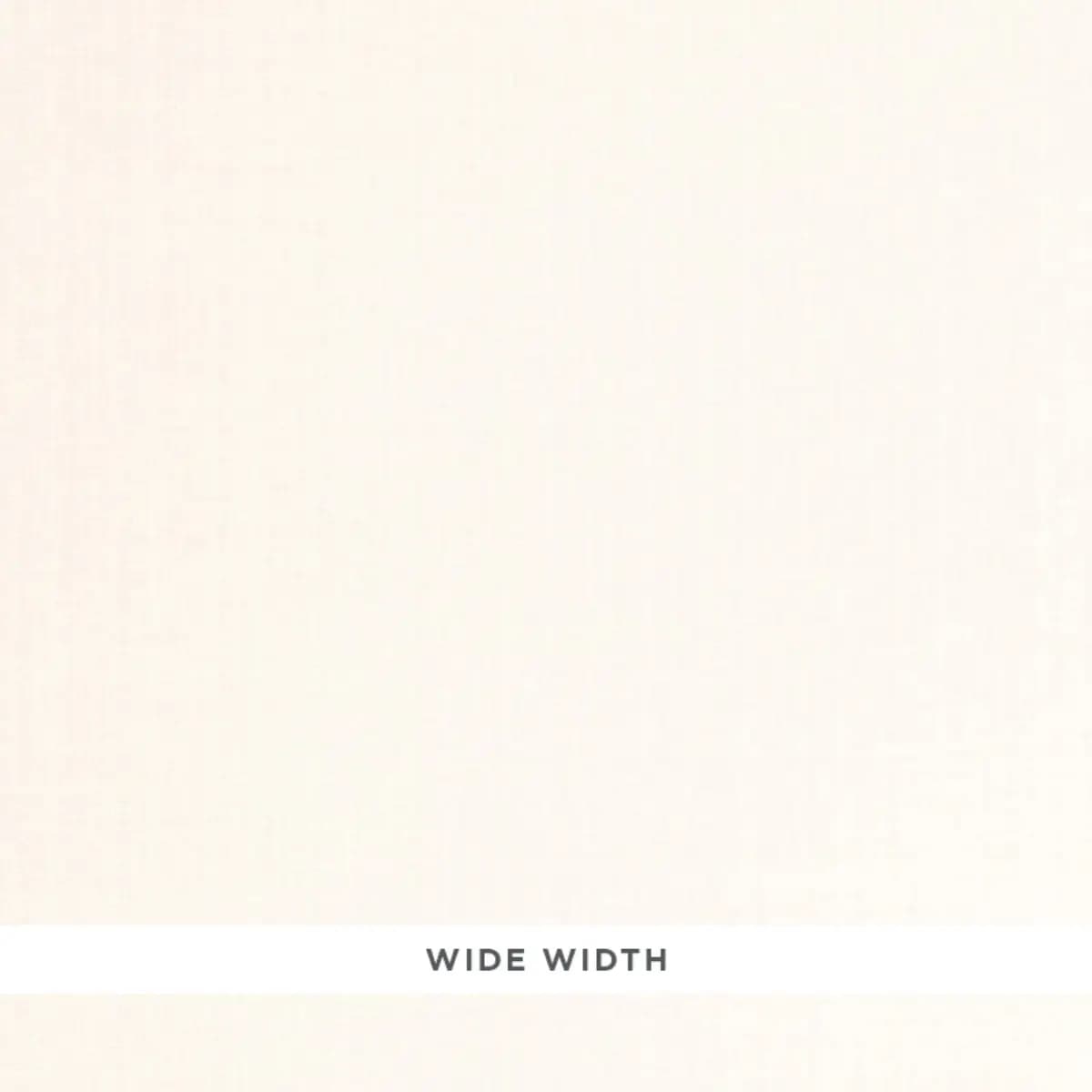 RICHELLE SHEER_ IVORY