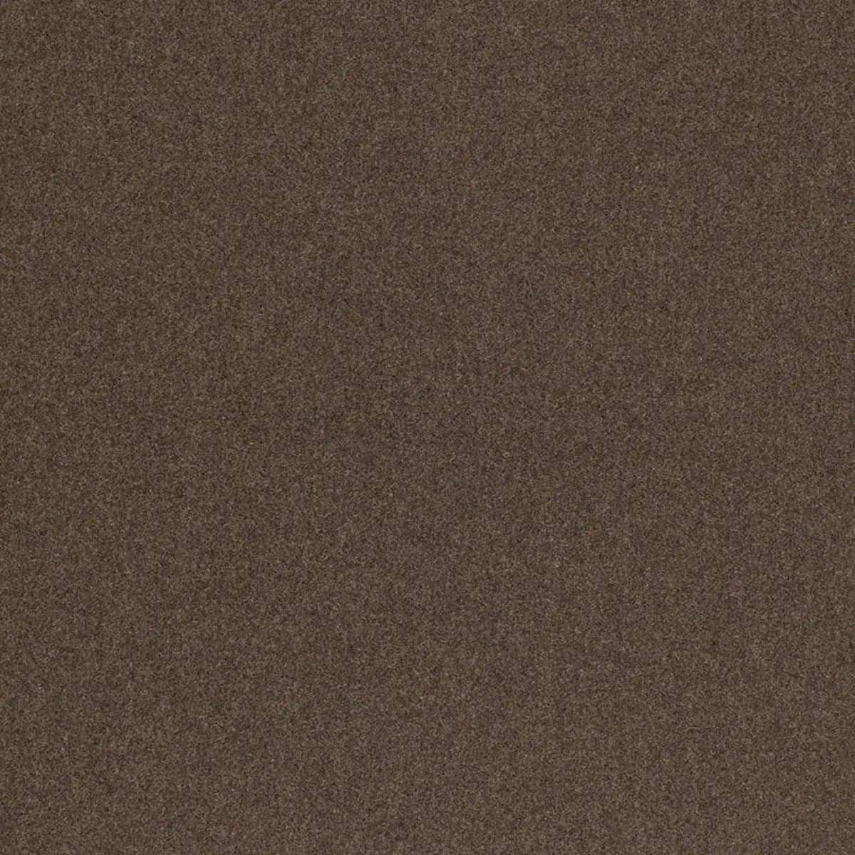 CHESTER WOOL_ MINK