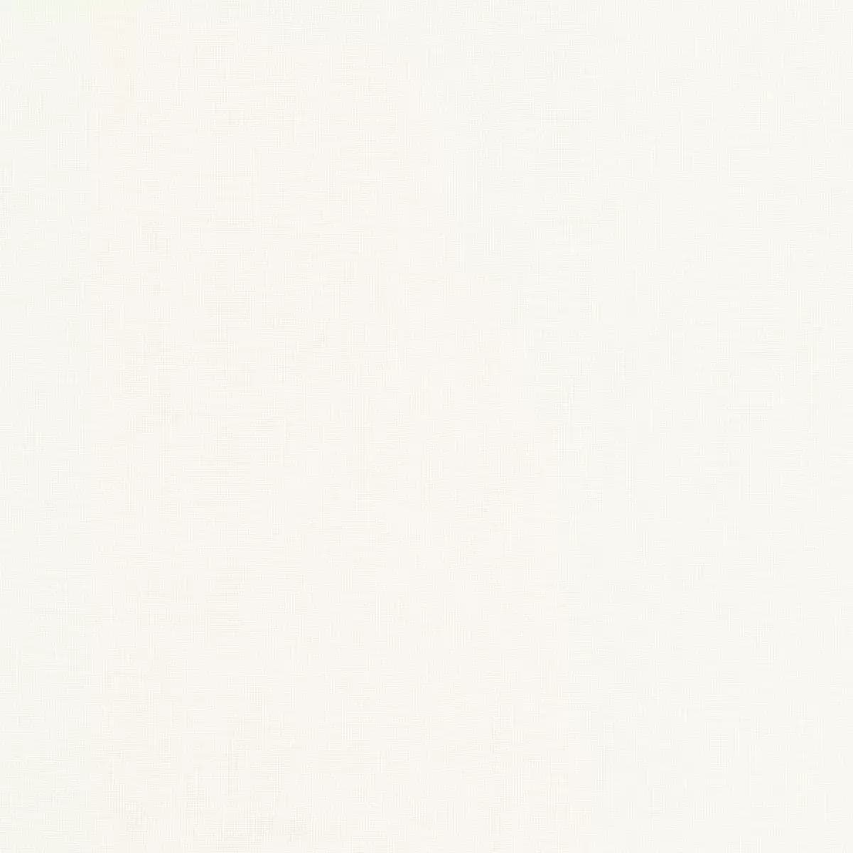 URBINO SHEER_ ECRU