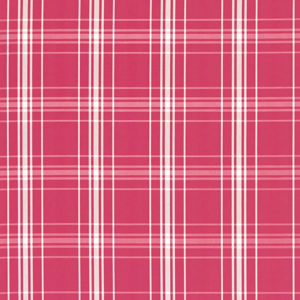 BELIZE PLAID_ AZALEA