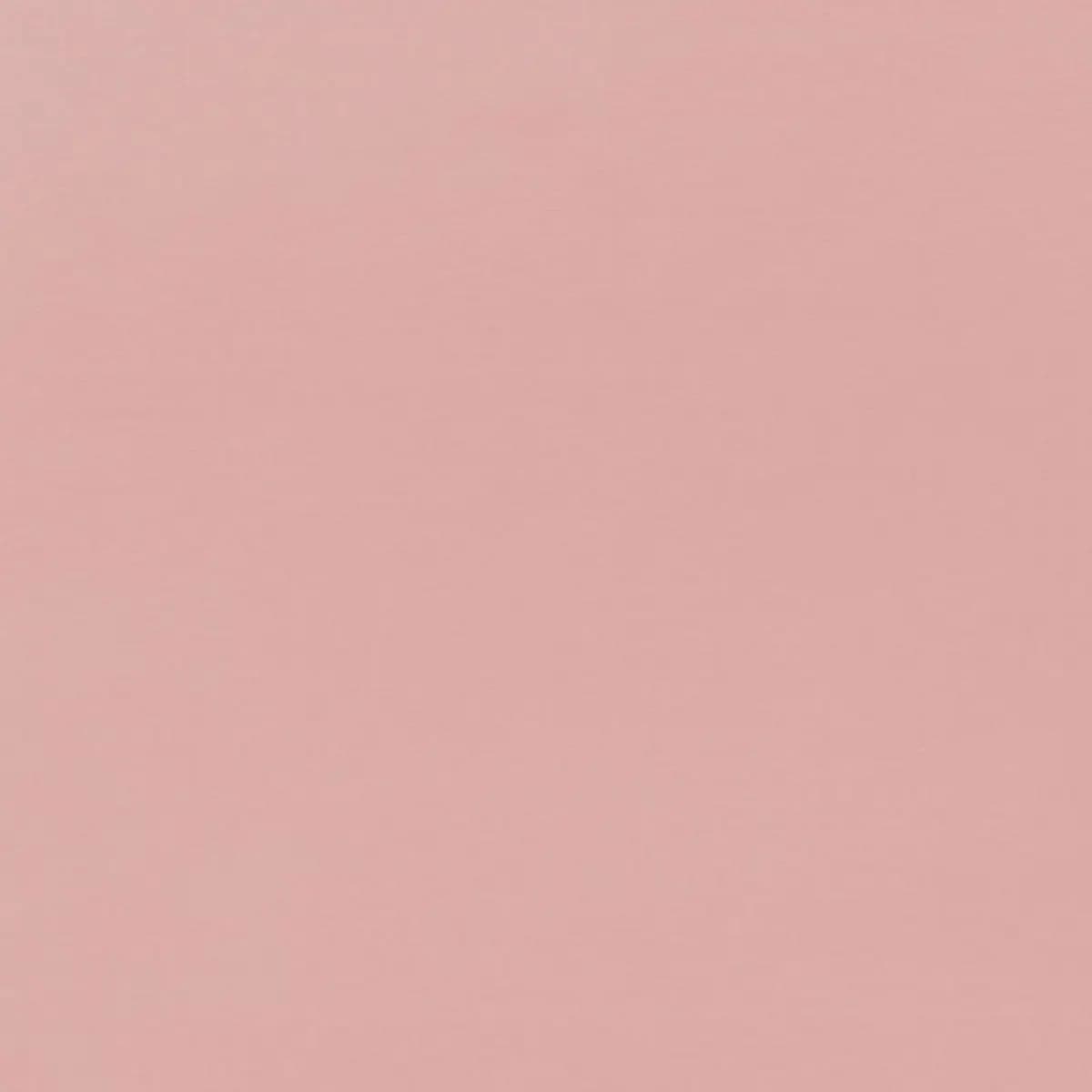 SOPHIA VELVET_ ASTOR ROSE