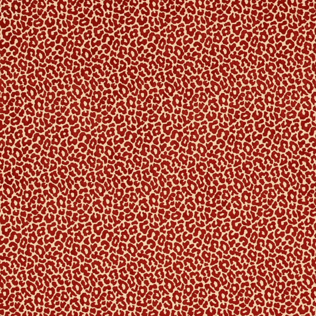 MADELEINE VELVET_ GRENADINE